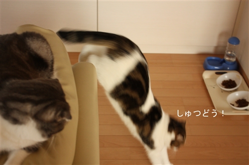 e0149299_201151.jpg