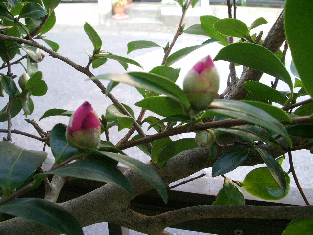 e0025300_13511059.jpg