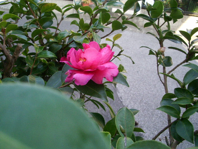 e0025300_13534371.jpg