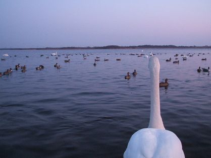 e0117805_16352943.jpg