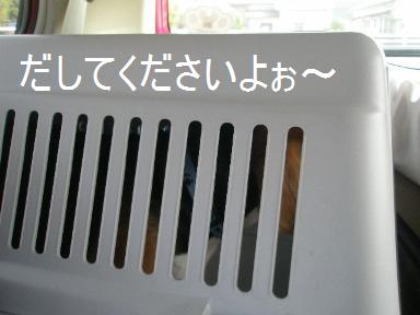c0205806_17115776.jpg