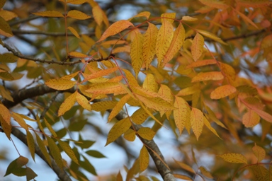 c0205806_17221041.jpg