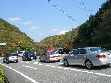 c0205806_1784836.jpg