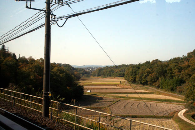 c0011009_3133472.jpg