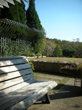 c0145209_121518.jpg