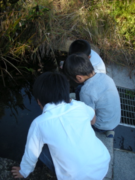 c0145209_1352214.jpg