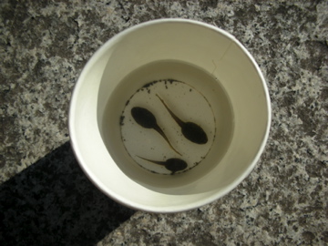 c0145209_1362872.jpg