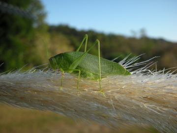 c0145209_1395649.jpg