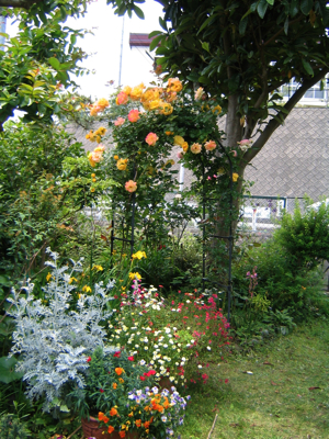 c0219815_2355146.jpg