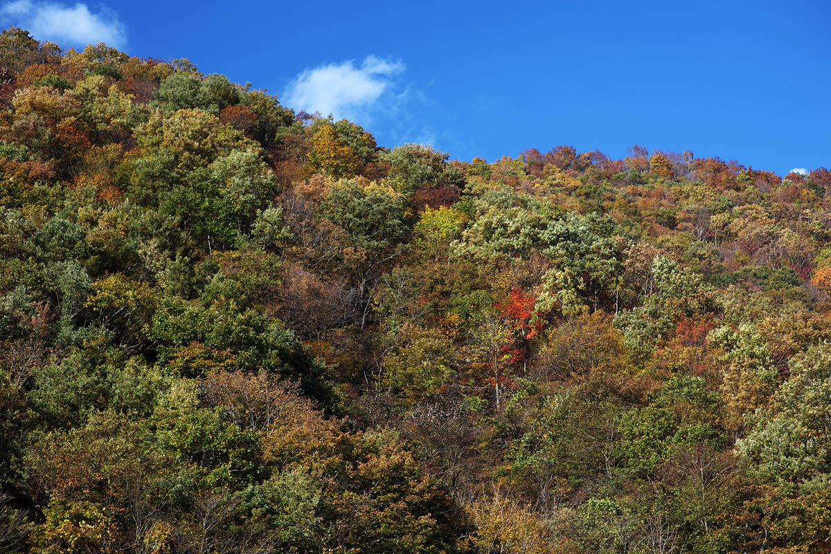 c0115616_20381078.jpg