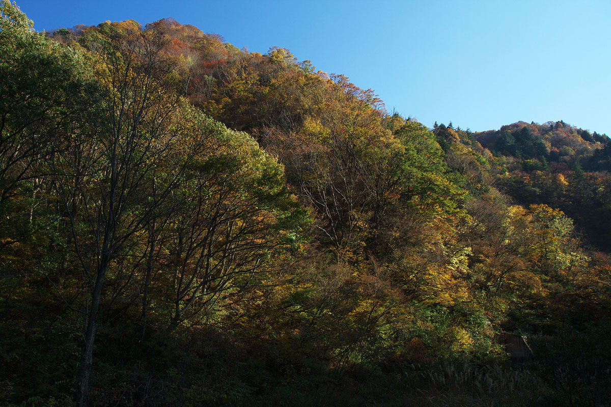 c0115616_20381742.jpg