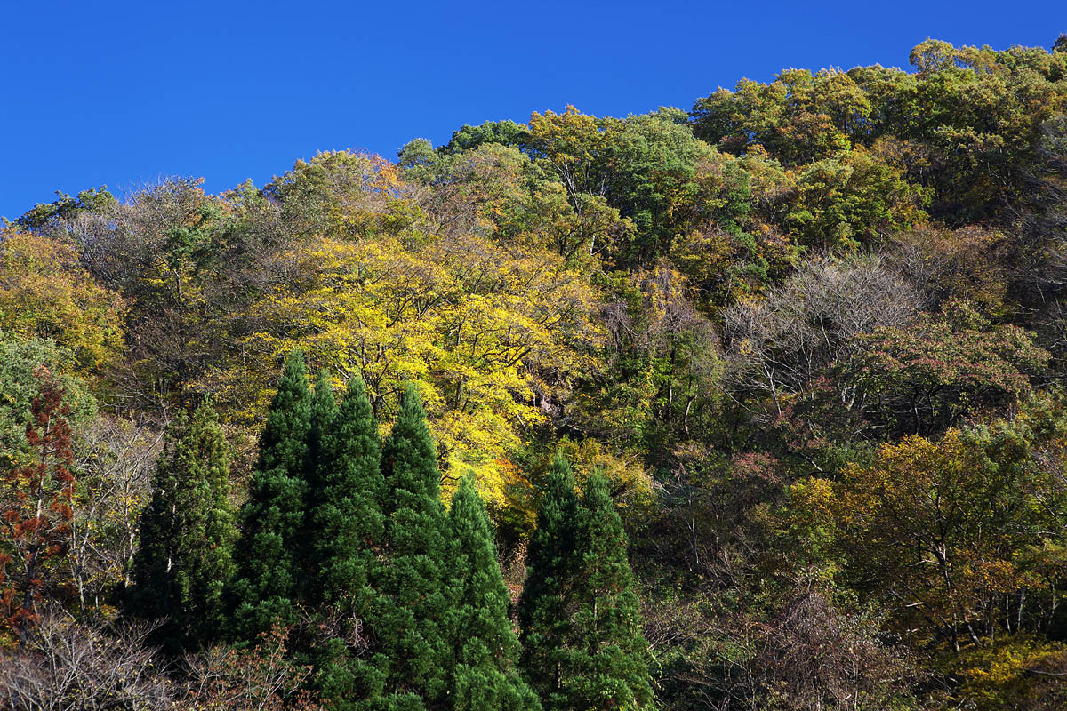 c0115616_20384599.jpg