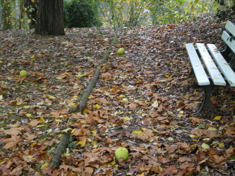 c0124619_21363632.jpg