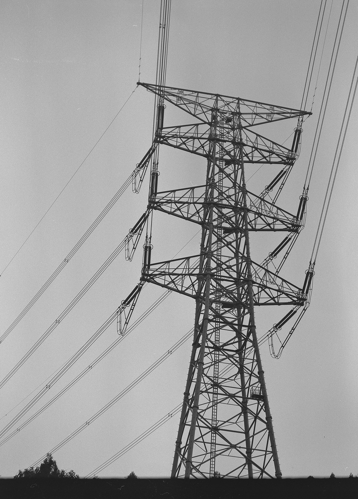 b0137723_759467.jpg