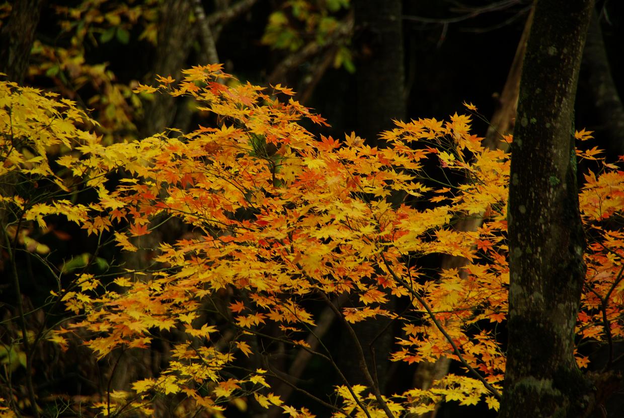 b0062024_18121454.jpg