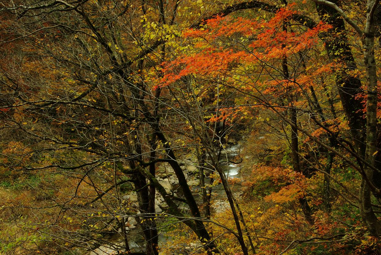 b0062024_1884211.jpg