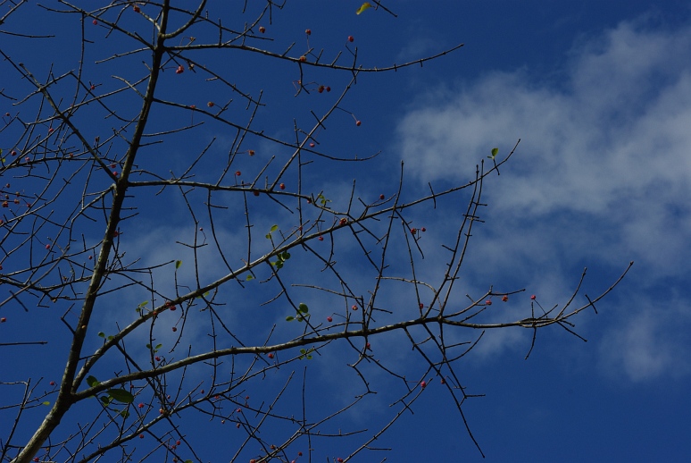 c0180824_028469.jpg