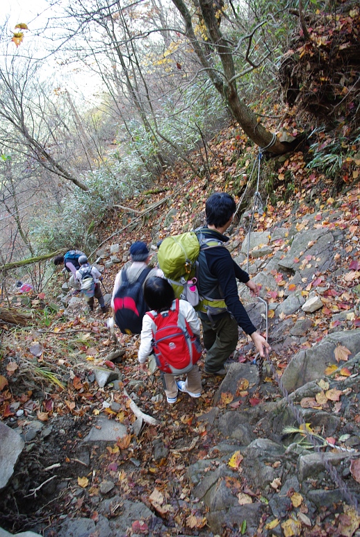 c0180824_117501.jpg