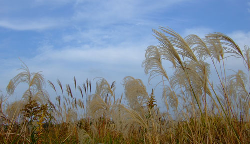 f0147025_16135942.jpg