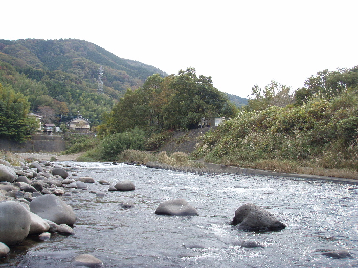 f0103126_2164045.jpg