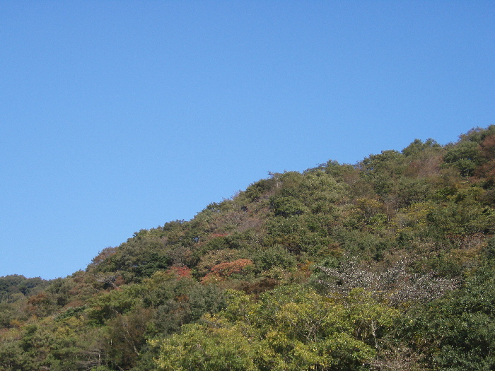 f0103126_2192965.jpg