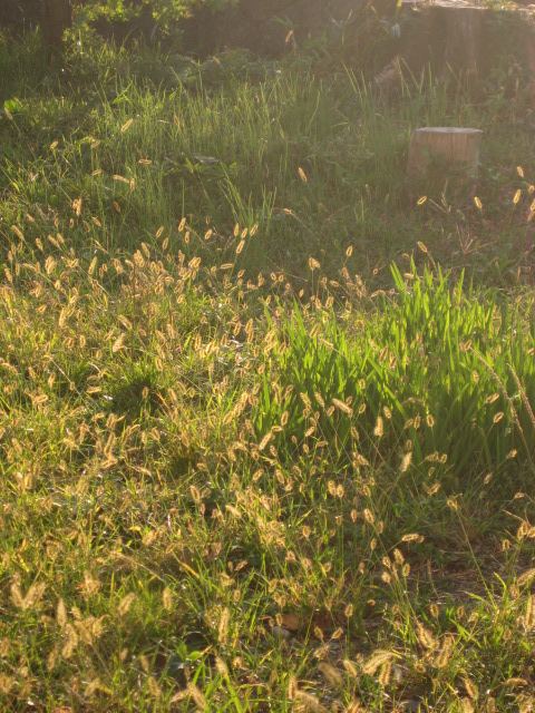 d0147727_20133088.jpg