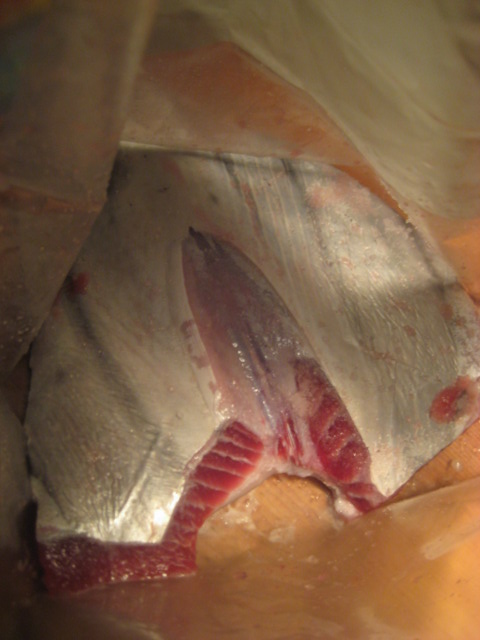 d0147727_20242260.jpg