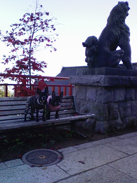 b0042230_2254920.jpg