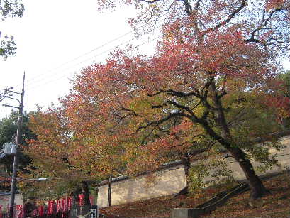 b0025633_2172146.jpg