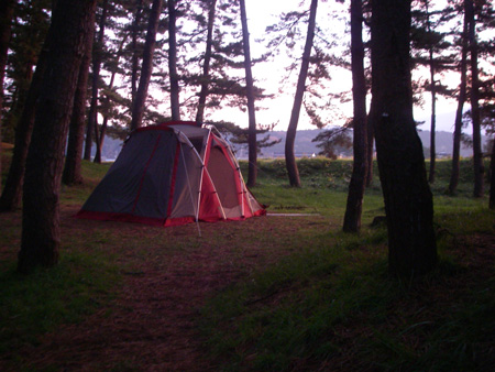 e0008833_1053516.jpg