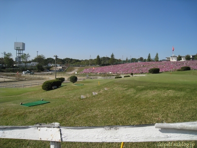 c0134734_1112582.jpg