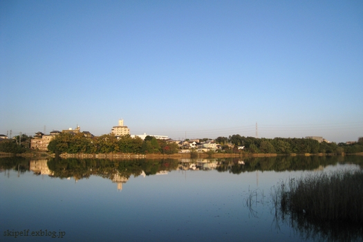 c0134734_1373758.jpg