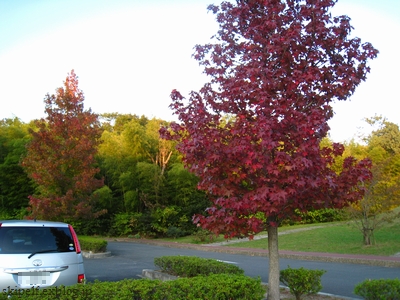 c0134734_1382761.jpg