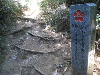 c0077338_002622.jpg