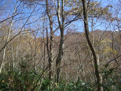 e0110940_12555345.jpg