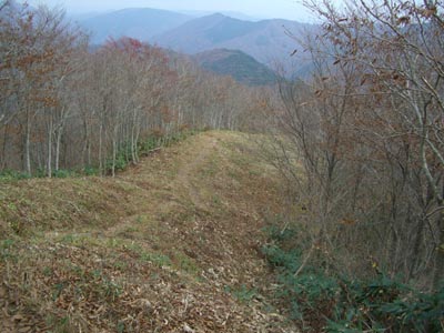 e0110940_137173.jpg