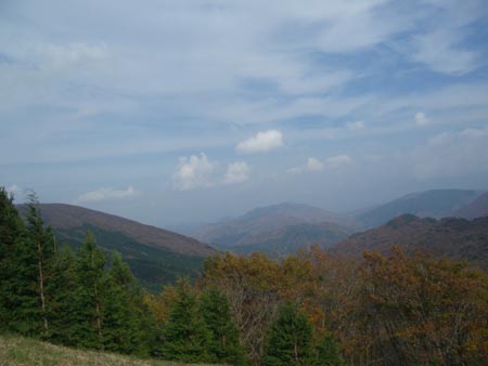e0110940_1372638.jpg