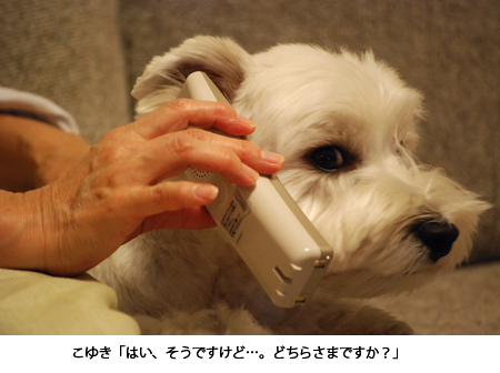 e0077142_23114790.jpg