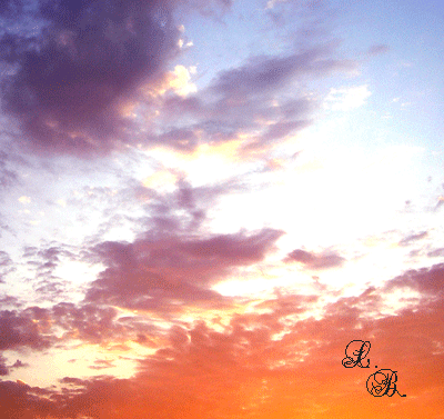 e0196543_1273392.gif