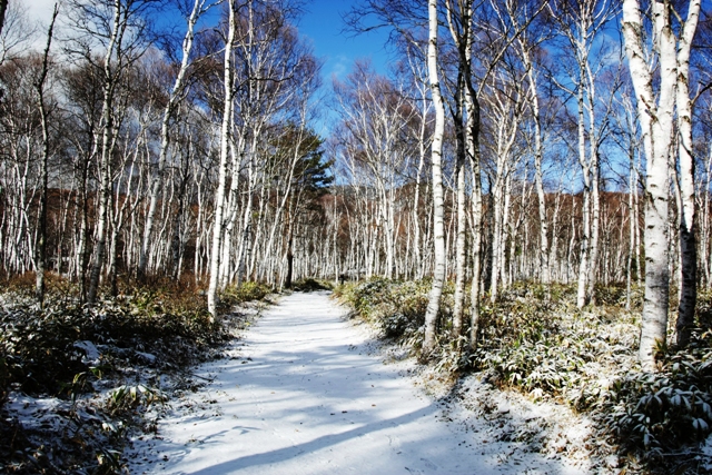 c0122445_17241948.jpg