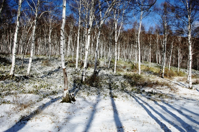 c0122445_17242922.jpg