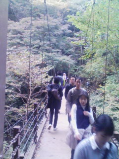 c0141046_061233.jpg