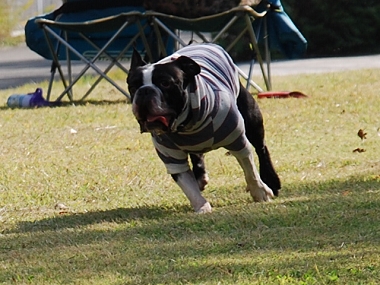 e0126046_10403768.jpg
