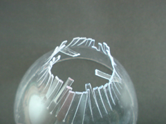 e0005548_248354.jpg