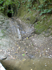 e0005548_2484073.jpg