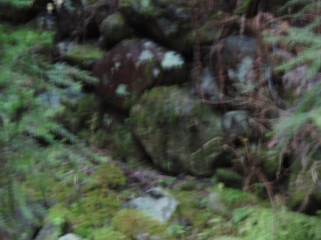 f0195949_18105126.jpg