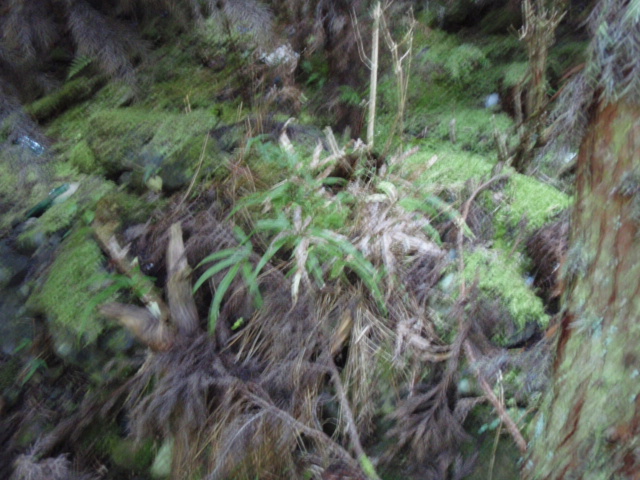f0195949_18122412.jpg
