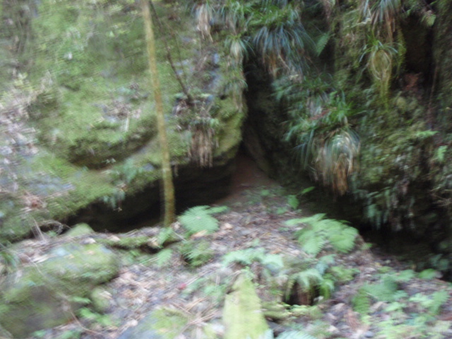 f0195949_18163410.jpg