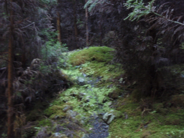 f0195949_1894816.jpg
