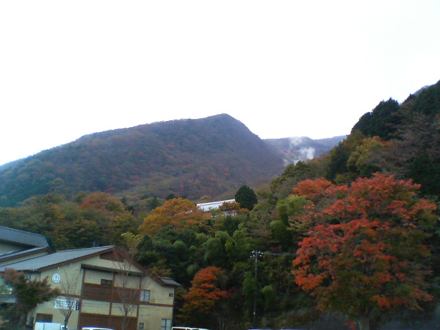d0124952_20554471.jpg